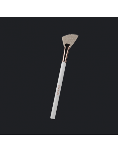 Highlighter Brush